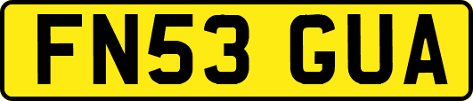 FN53GUA