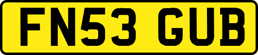 FN53GUB