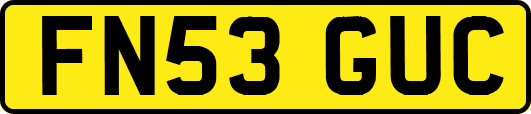 FN53GUC