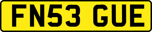 FN53GUE