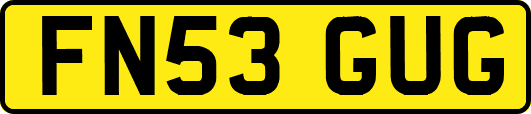 FN53GUG