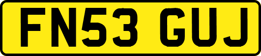 FN53GUJ