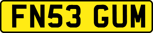 FN53GUM