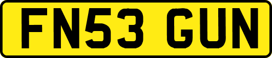 FN53GUN
