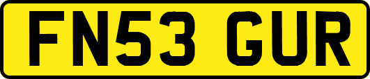 FN53GUR