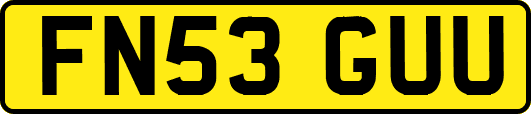 FN53GUU