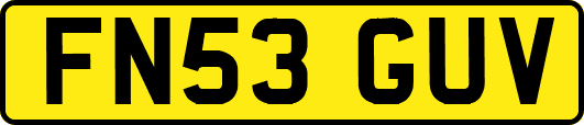 FN53GUV