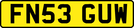 FN53GUW