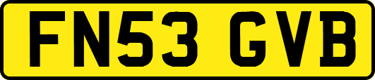 FN53GVB