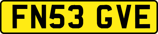 FN53GVE
