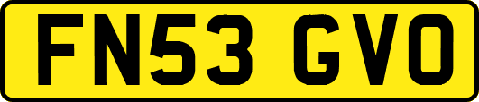FN53GVO