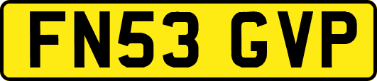 FN53GVP