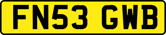 FN53GWB
