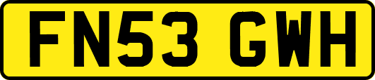 FN53GWH