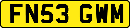 FN53GWM