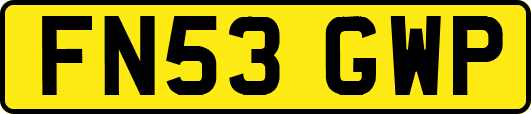 FN53GWP