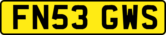 FN53GWS