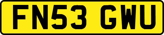 FN53GWU