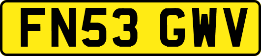 FN53GWV