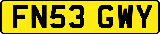 FN53GWY