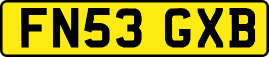 FN53GXB