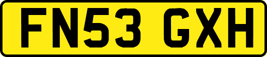 FN53GXH