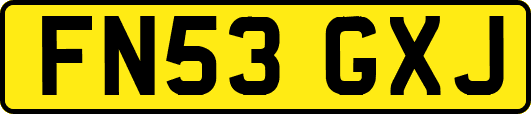 FN53GXJ