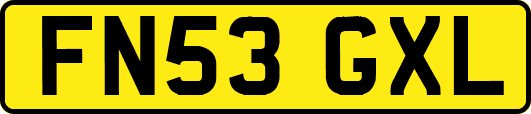 FN53GXL