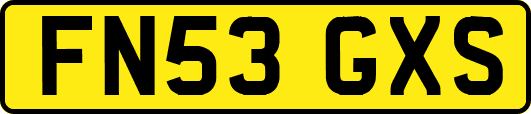 FN53GXS
