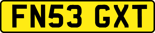 FN53GXT