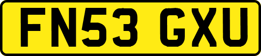 FN53GXU