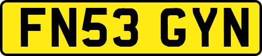 FN53GYN