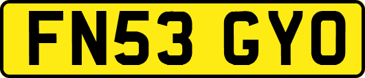 FN53GYO