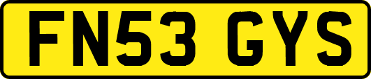 FN53GYS