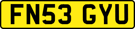 FN53GYU