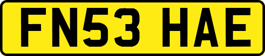 FN53HAE