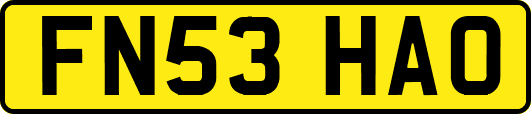 FN53HAO
