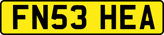 FN53HEA