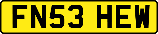 FN53HEW