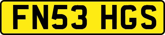 FN53HGS