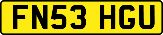 FN53HGU
