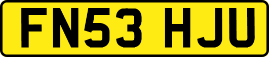 FN53HJU