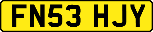 FN53HJY