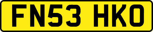 FN53HKO