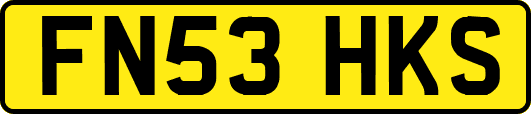 FN53HKS