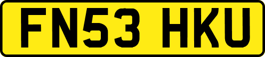 FN53HKU