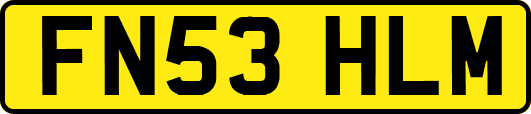 FN53HLM