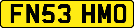FN53HMO