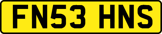 FN53HNS