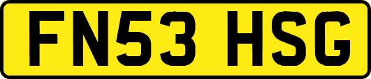 FN53HSG